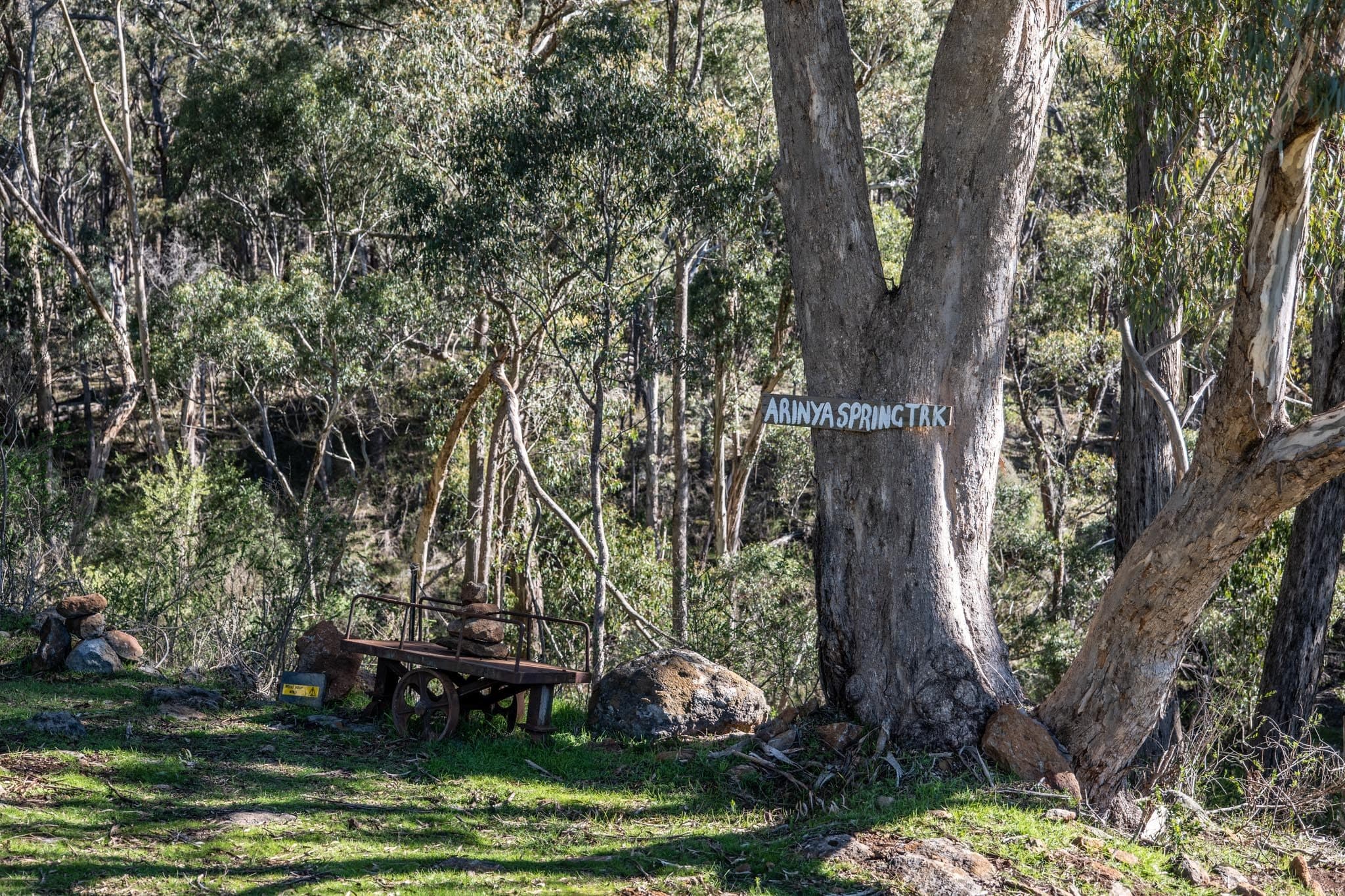 Arinya Spring Track through the bushland